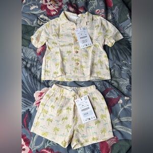 NWT! Zara Palm Tree Shirt and Bermuda Shorta